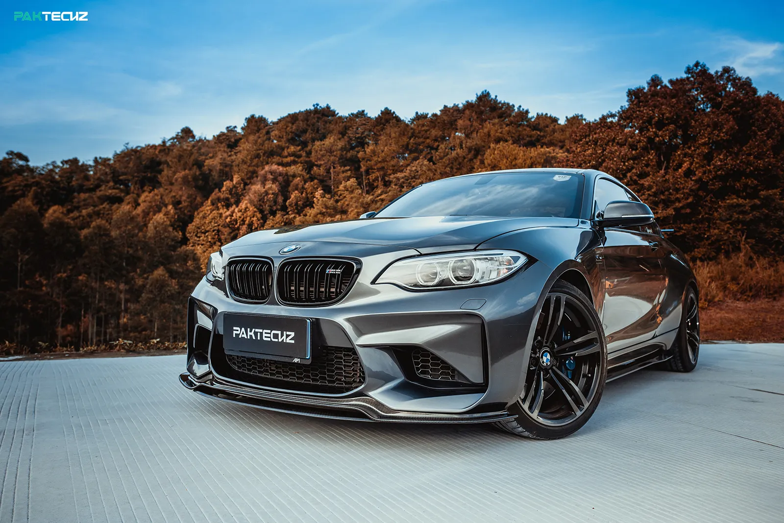 Paktechz Carbon Seitenschweller für BMW M2 F87
